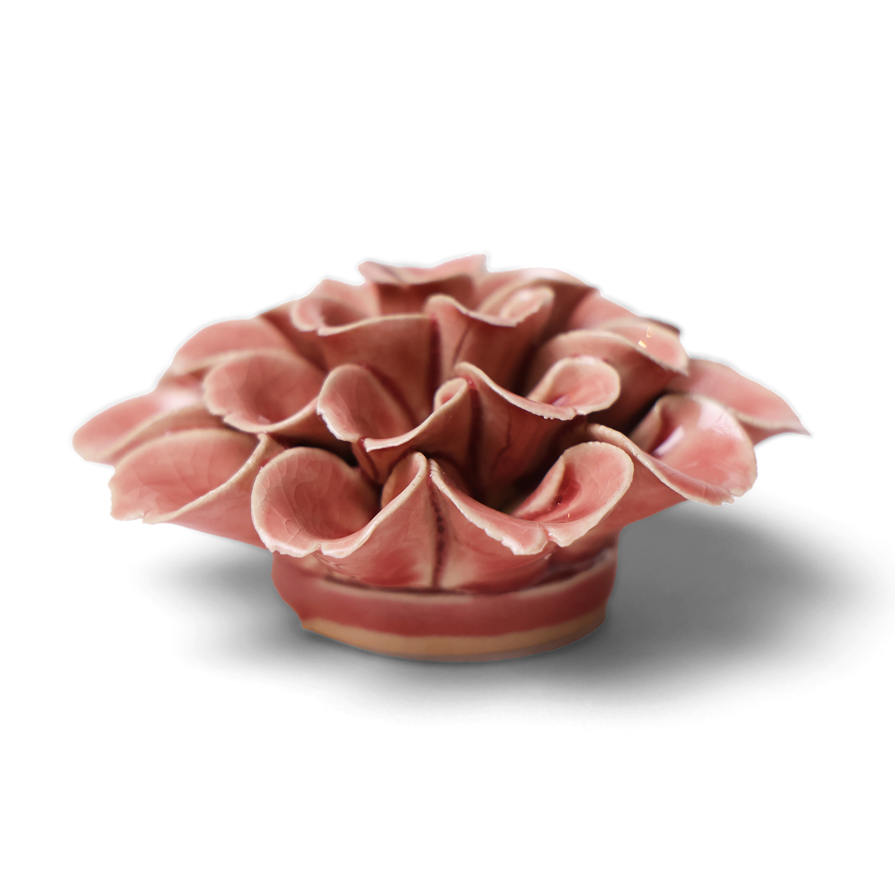 Champagne Pink Hydrangea Ceramic Flower