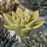 Green Succulent Ceramic Flower