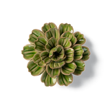 Green Petunia Ceramic Flower