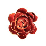 Orange Yellow Peony Ceramic Flower
