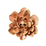 Rose Pink Hawthorn Ceramic Flower