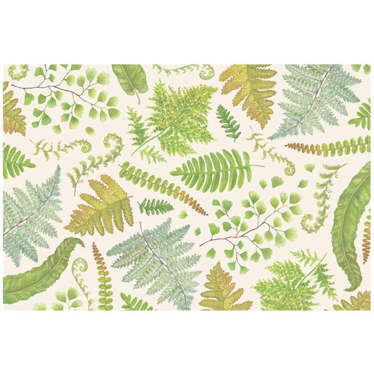 Fern Collection Placemat - 24 Sheets