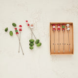 Appetizer Picks with Hand-Blown Glass Candies, Boxed Set of 4