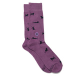 Socks that Save Cats | Purple Cats